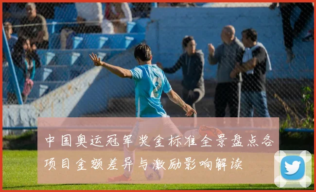 中国奥运冠军奖金标准全景盘点各项目金额差异与激励影响解读