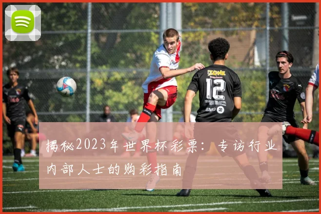 揭秘2023年世界杯彩票：专访行业内部人士的购彩指南
