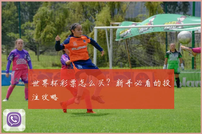 世界杯彩票怎么买？新手必看的投注攻略
