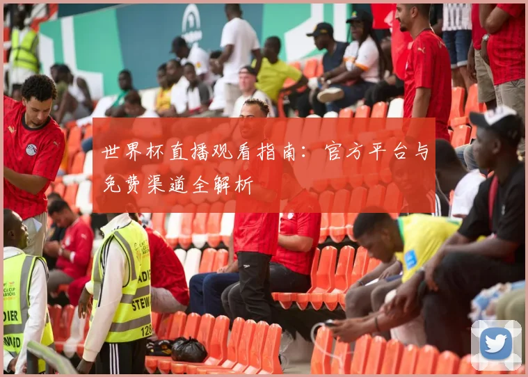 世界杯直播观看指南：官方平台与免费渠道全解析