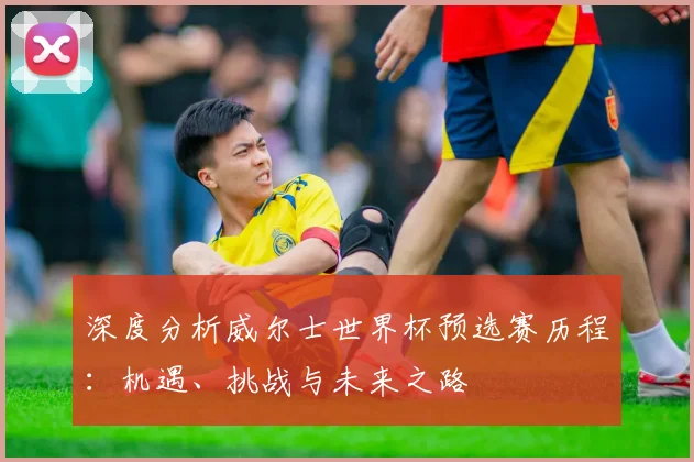 深度分析威尔士世界杯预选赛历程：机遇、挑战与未来之路