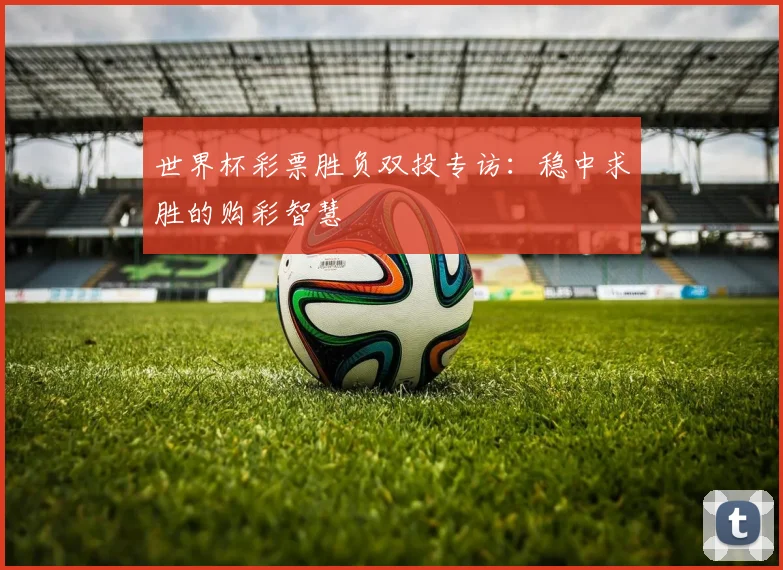 世界杯彩票胜负双投专访：稳中求胜的购彩智慧