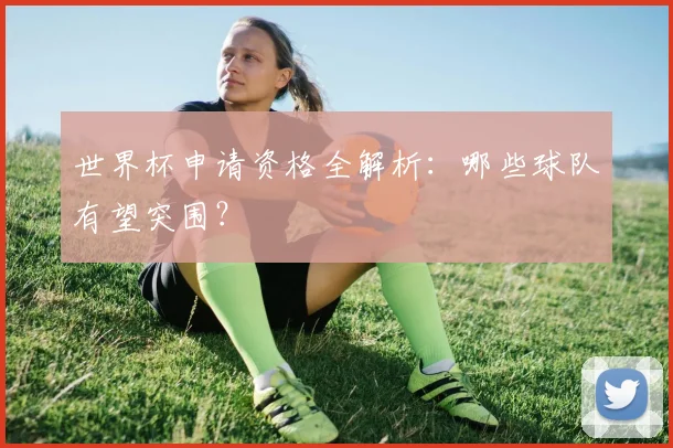 世界杯申请资格全解析：哪些球队有望突围？