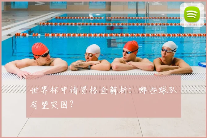 世界杯申请资格全解析：哪些球队有望突围？