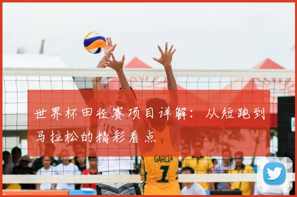 世界杯田径赛项目详解：从短跑到马拉松的精彩看点